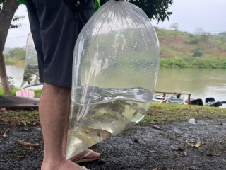 01d47981-f1cf-4d20-b6ce-8cad0a2d6efc