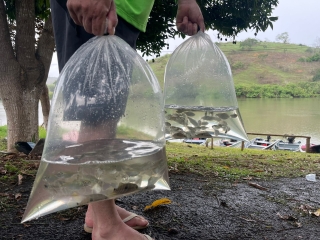 7ee62b33-7f42-441c-b4f7-055ca559c398