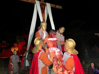 48493c6f-b9b3-4a91-987c-7cb9ac025df4